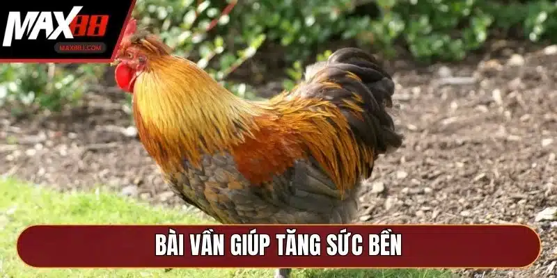 Bài vần giúp tăng sức bền Bài vần giúp tăng sức bền